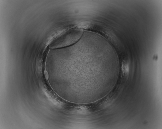 X0000115640492200911241714