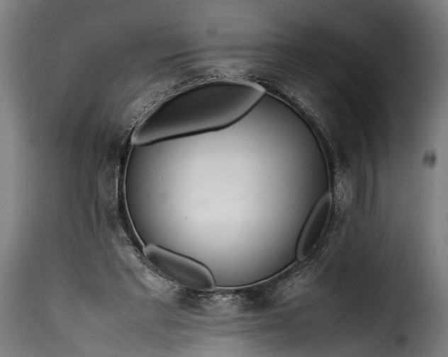 X0000115640493200911241714