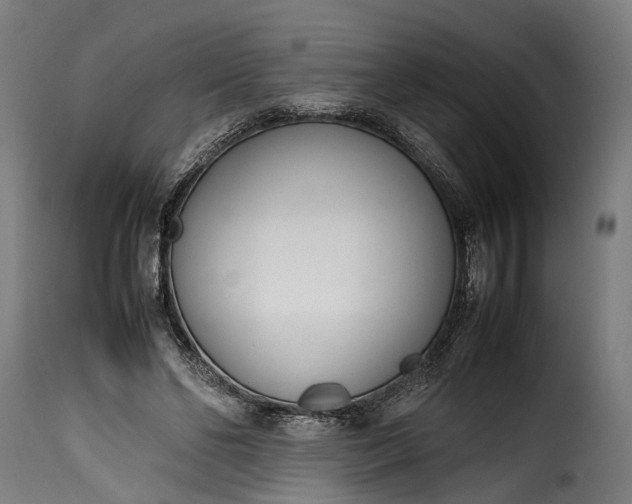 X0000115640494200911241714