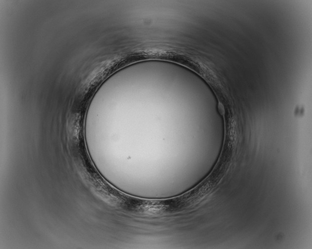 X0000115640495200911241714