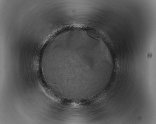 X0000115640496200911241714