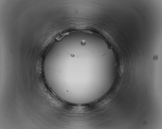 X0000115640497200911241714