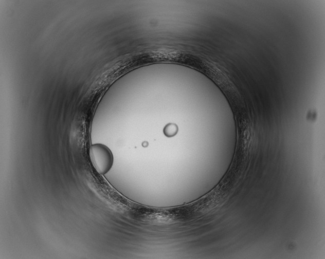 X0000115640498200911241714