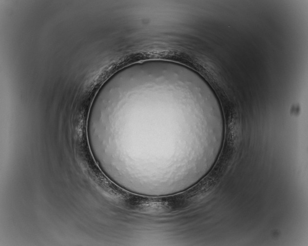 X0000115640499200911241714