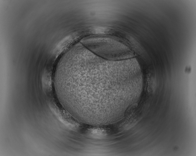 X0000115640500200911241714