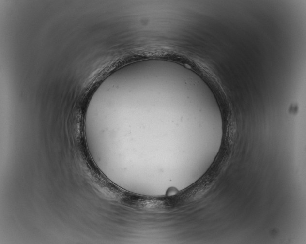 X0000115640501200911241714