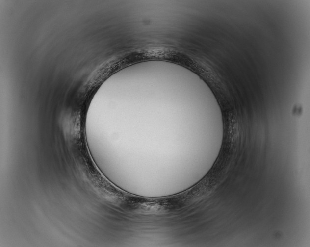 X0000115640502200911241714