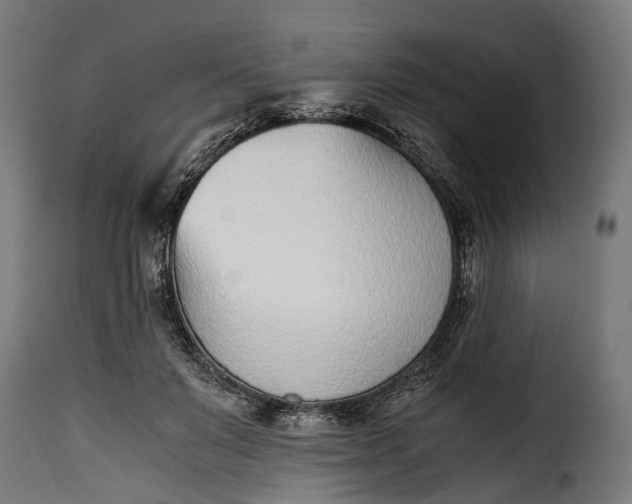 X0000115640503200911241714