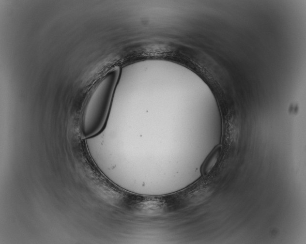 X0000115640505200911241714