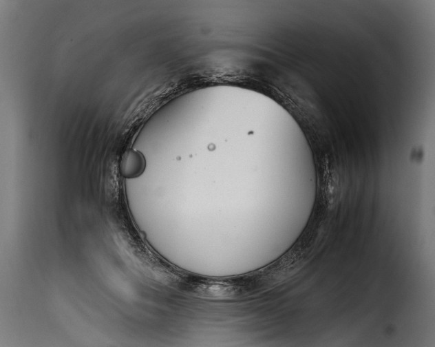 X0000115640506200911241714