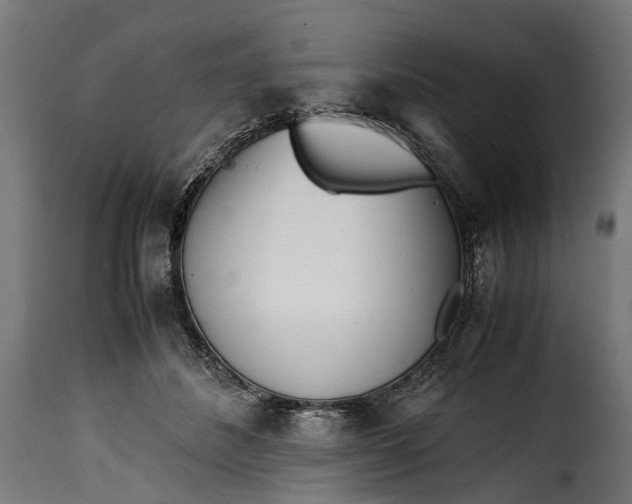 X0000115640508200911241714