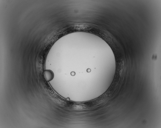 X0000115640510200911241714