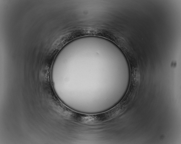 X0000115640511200911241714