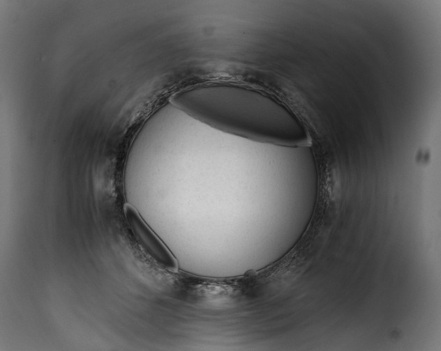 X0000115640512200911241714