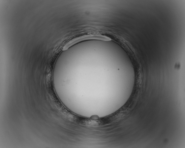 X0000115640513200911241714