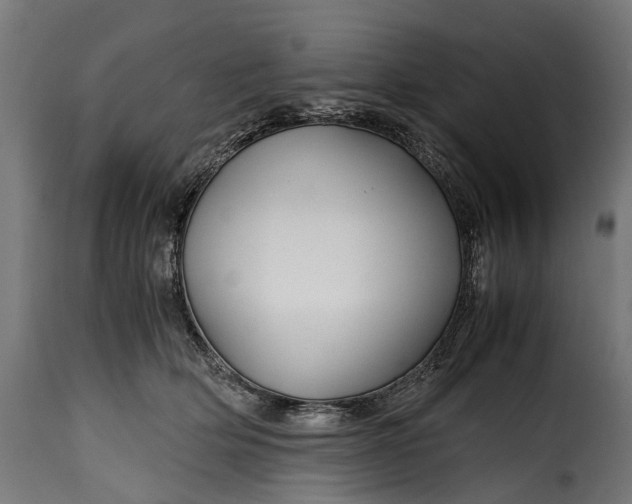 X0000115640514200911241714