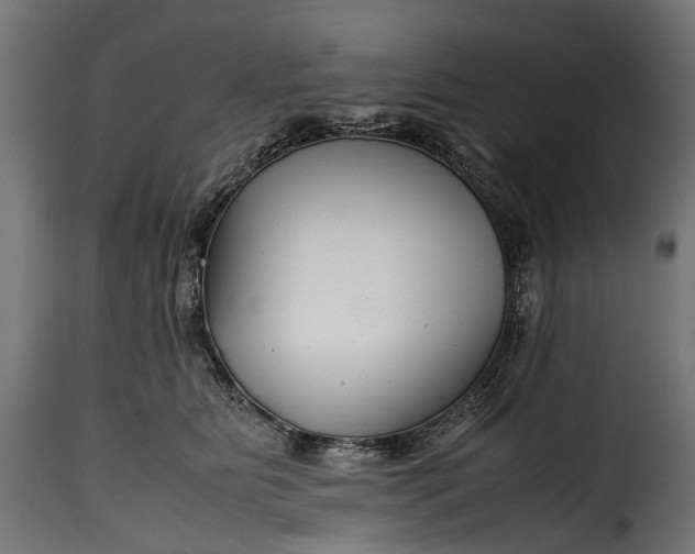 X0000115640515200911241714