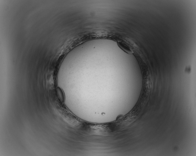 X0000115640516200911241714