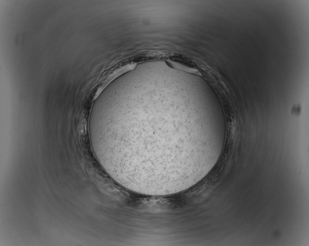 X0000115640517200911241714