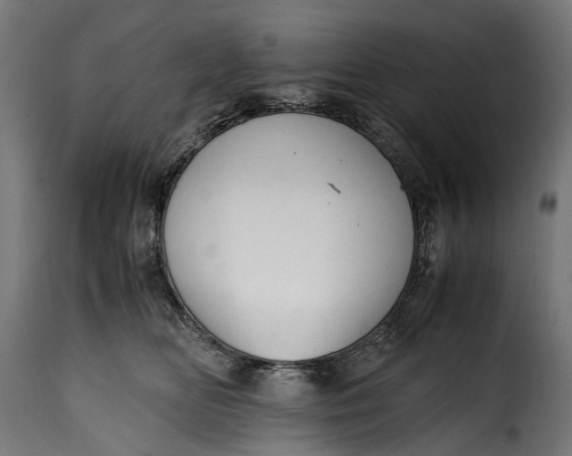 X0000115640518200911241714