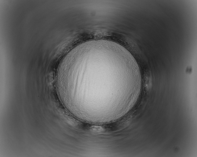 X0000115640519200911241714