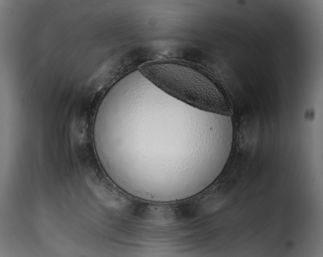 X0000115640520200911241714