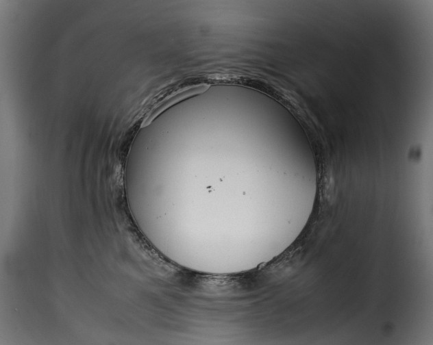 X0000115640521200911241714