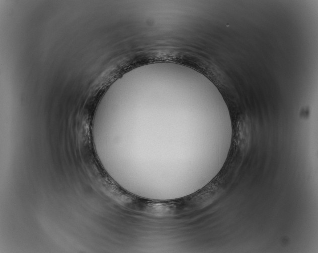 X0000115640522200911241714