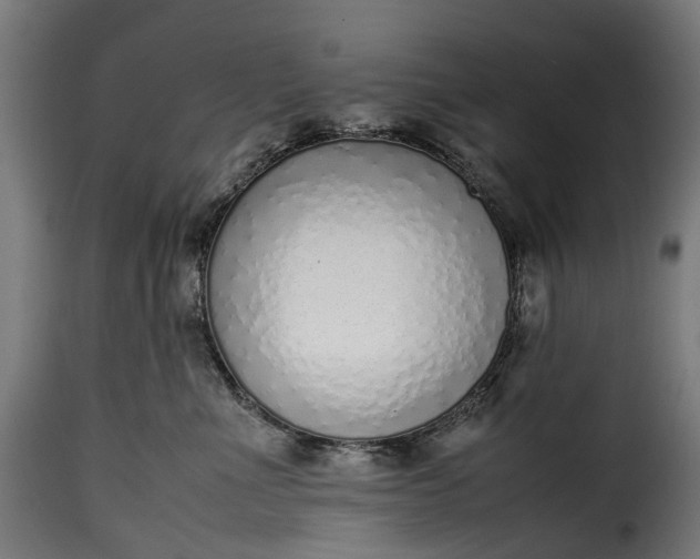 X0000115640523200911241714