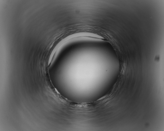 X0000115640524200911241714