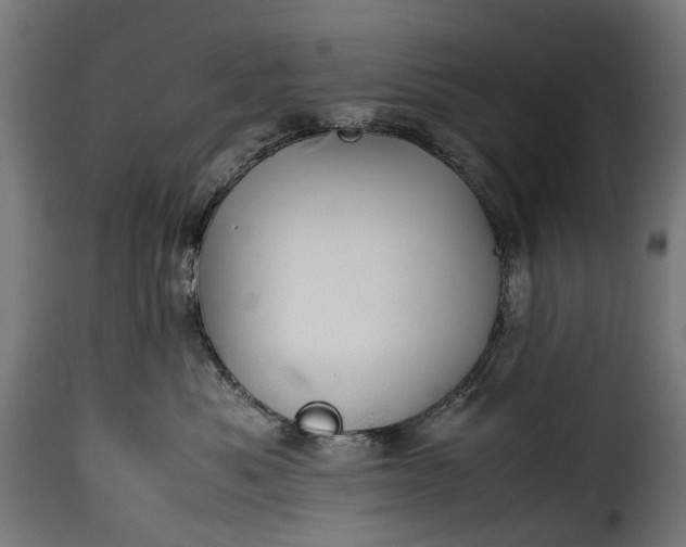 X0000115640525200911241714