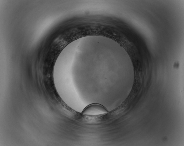 X0000115640526200911241714