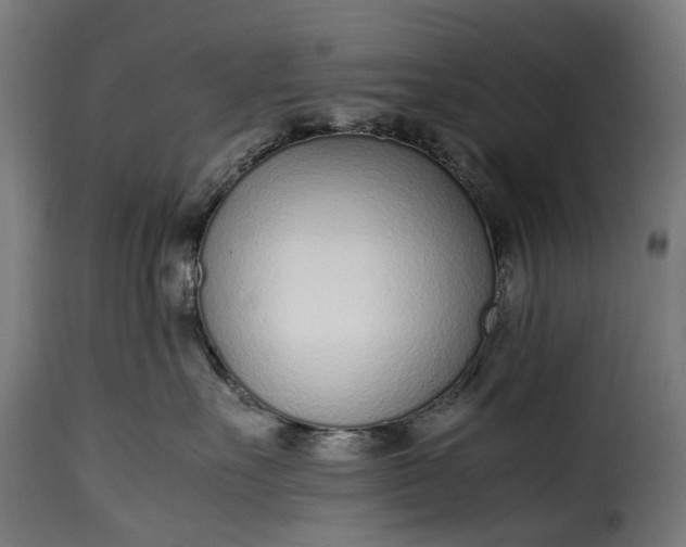 X0000115640527200911241714