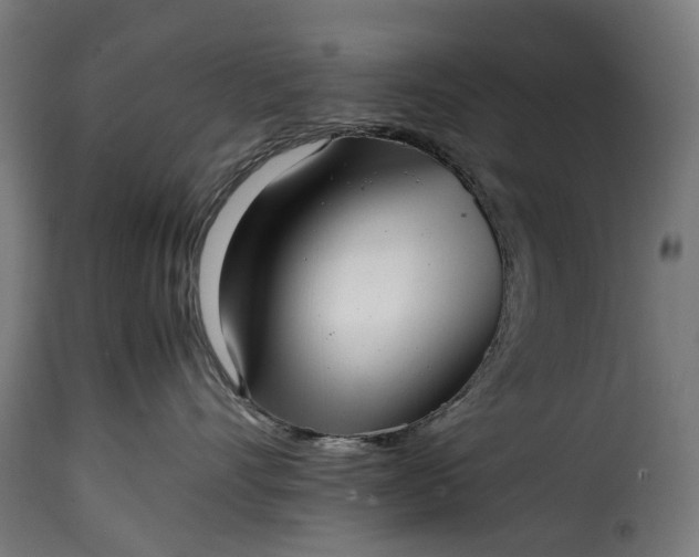 X0000115640528200911241714