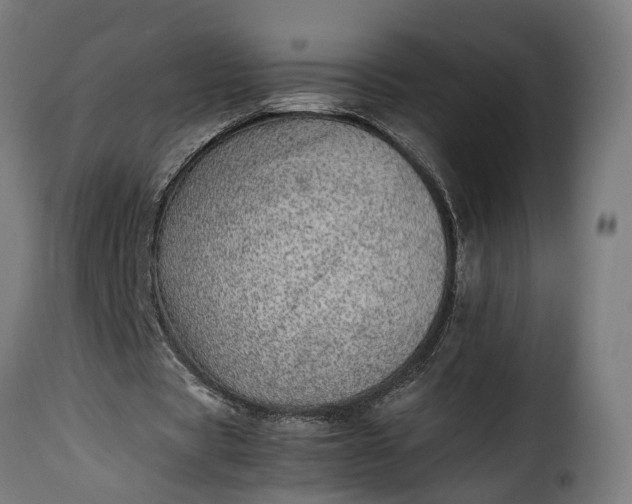 X0000115640529200911241713