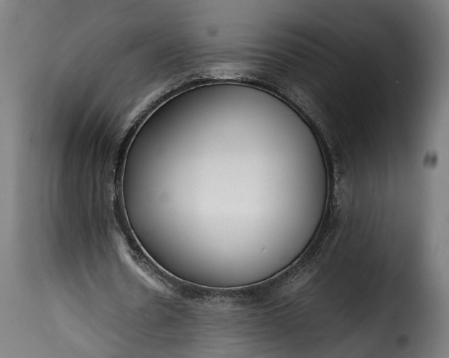 X0000115640530200911241713