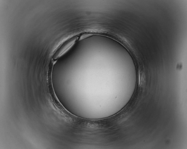 X0000115640531200911241713