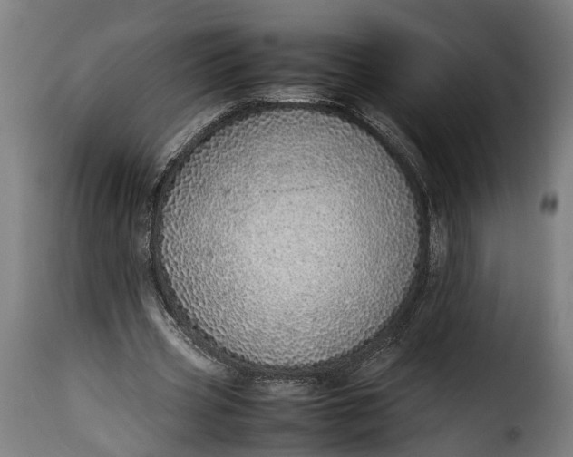 X0000115640533200911241713