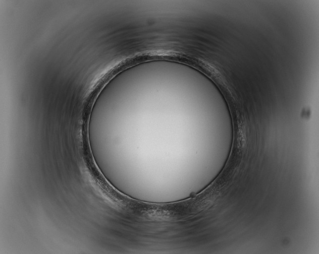 X0000115640535200911241713