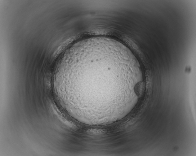 X0000115640537200911241713