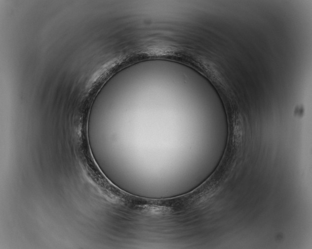 X0000115640539200911241713