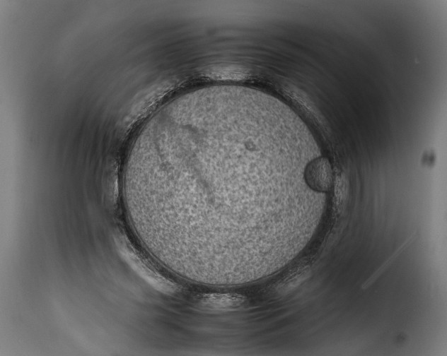 X0000115640541200911241713