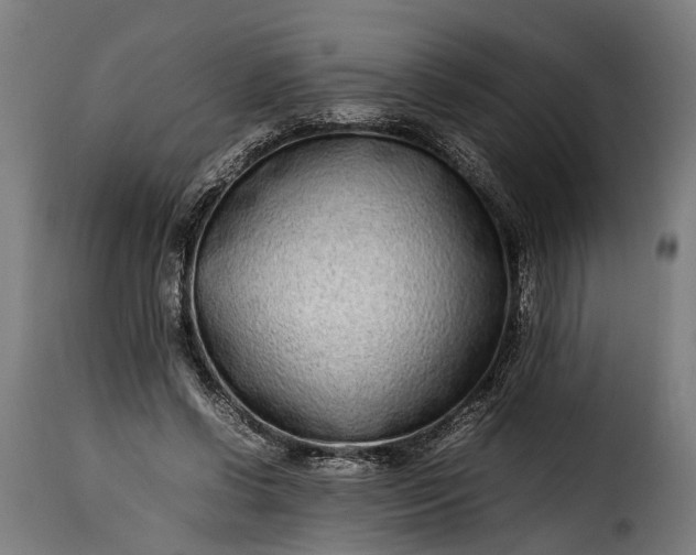 X0000115640542200911241713