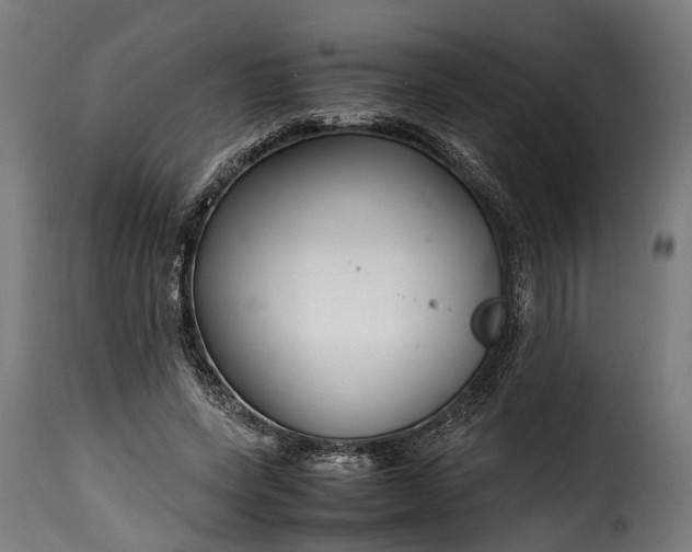 X0000115640543200911241713