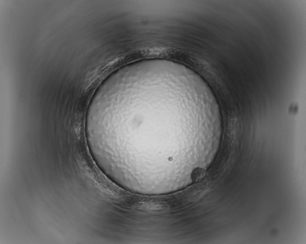 X0000115640545200911241714