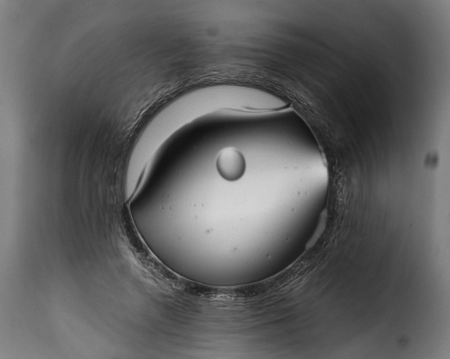 X0000115640546200911241714