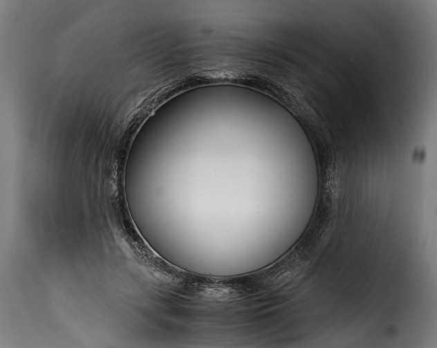 X0000115640547200911241714