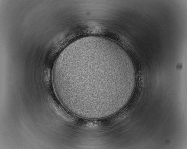 X0000115640550200911241714