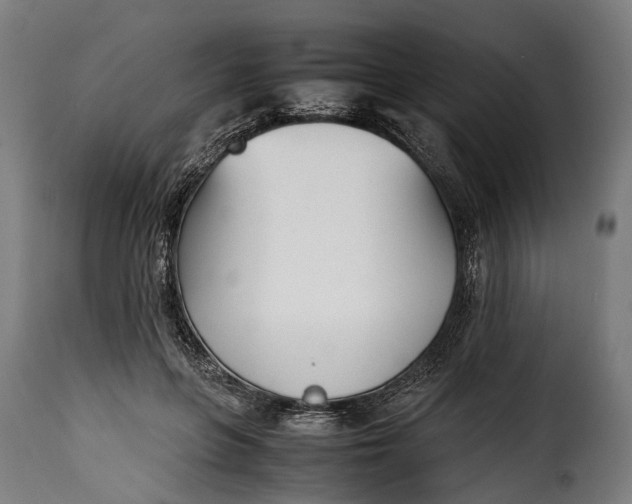 X0000115640551200911241714