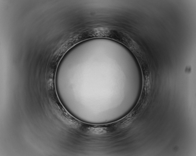 X0000115640553200911241714